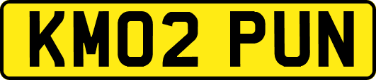 KM02PUN