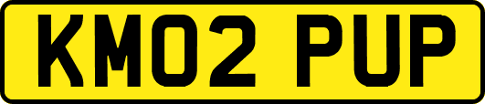 KM02PUP