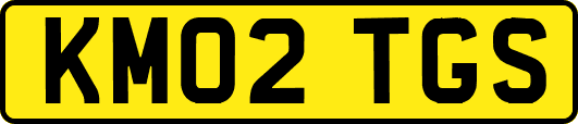 KM02TGS