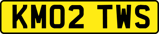 KM02TWS