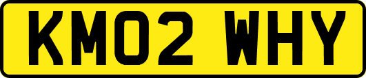 KM02WHY