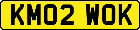 KM02WOK