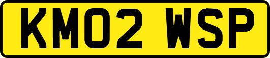 KM02WSP