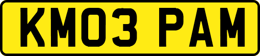 KM03PAM