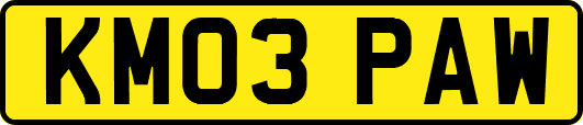 KM03PAW