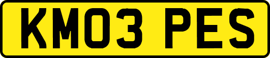 KM03PES