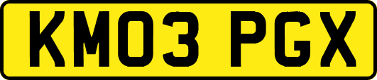 KM03PGX