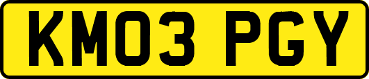 KM03PGY