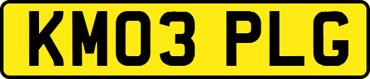 KM03PLG