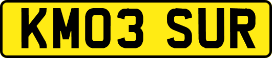 KM03SUR