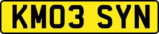 KM03SYN