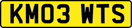 KM03WTS