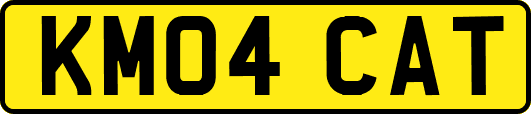 KM04CAT