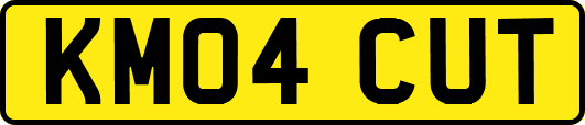 KM04CUT
