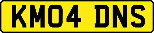 KM04DNS