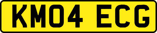 KM04ECG
