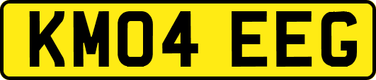 KM04EEG