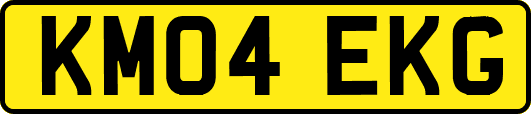 KM04EKG