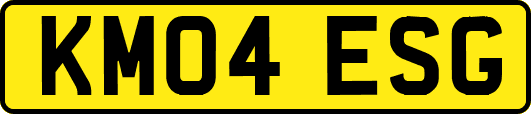 KM04ESG