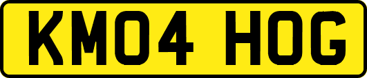 KM04HOG