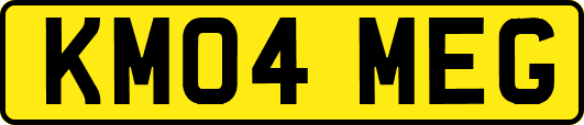 KM04MEG