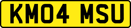 KM04MSU