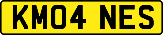 KM04NES