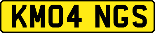 KM04NGS