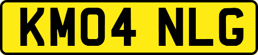 KM04NLG