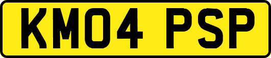 KM04PSP