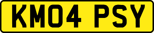 KM04PSY