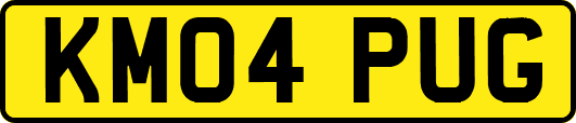 KM04PUG