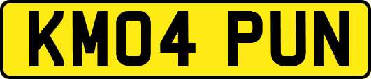 KM04PUN