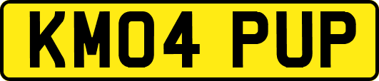 KM04PUP