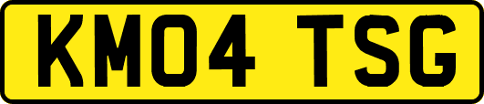 KM04TSG