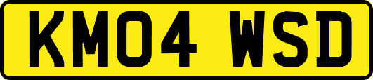 KM04WSD