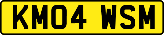 KM04WSM