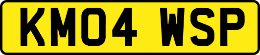 KM04WSP