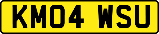 KM04WSU