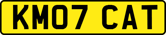 KM07CAT