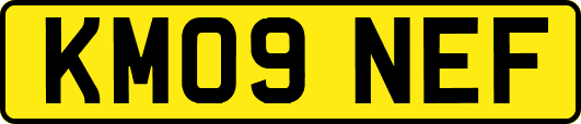 KM09NEF