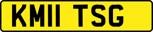 KM11TSG