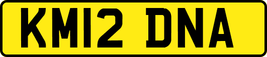 KM12DNA