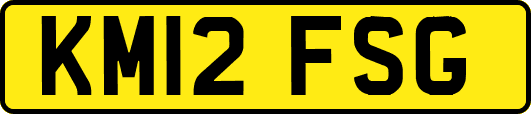KM12FSG