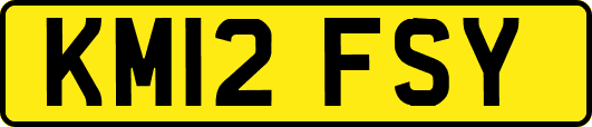 KM12FSY
