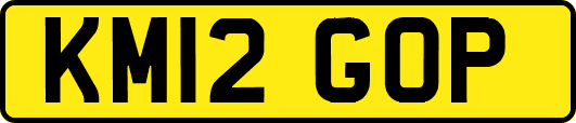 KM12GOP