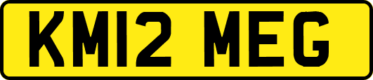 KM12MEG