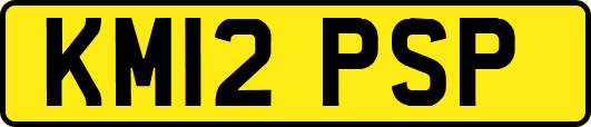 KM12PSP