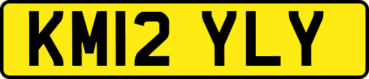 KM12YLY