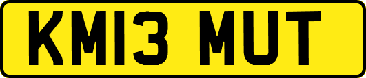 KM13MUT